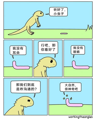 这是一幅由6个分镜组成的连环卡通漫画，整体风格简洁清新。第一分镜中，一只黄色蜥蜴站立在草地上，对着地面的粉色小虫子摆出略带强势的姿态，开口说“听好了，小虫子”；第二分镜里，粉色小虫子回应“我没有耳朵”，表明自己无法听到蜥蜴的话；第三分镜中，蜥蜴蹲下身，对着小虫子说“行吧，那你看好了”；第四分镜小虫子再次回应“我没有眼睛”，说明自己也看不到；第五分镜蜥蜴露出疑惑的表情，发问“那我们到底是咋沟通的？”；第六分镜里，小虫子身上冒出星星闪光，给出“大自然，很神奇吧”的回答。漫画通过蜥蜴和无耳无眼的小虫子却能完成对话的荒诞设定，制造出反差感与搞笑效果，最后用大自然的神奇来圆场，形成趣味十足的笑点。