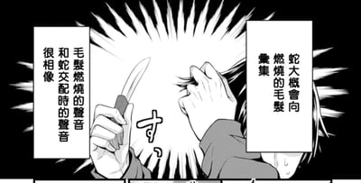 这是一张黑白漫画截图，画面呈现了一个角色遭遇冲击性场景的瞬间：角色一只手握着一把小型刀具，另一只手紧紧捂住头部，脸颊挂着汗珠，神态满是惊恐。画面中心有放射状的爆炸特效，强化了冲击感。画面左右两侧的文本框给出了怪异的设定描述：右侧文本说明“蛇大概会向燃烧的毛发汇集”，左侧文本则补充“毛发燃烧的声音和蛇交配时的声音很相像”，用完全不合常理的关联设定，制造出荒诞又冲击的效果，图中没有双关、谐音梗等内容。