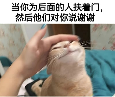 图片上方有黑色文字：'当你为后面的人扶着门，然后他们对你说谢谢'。下方是一张实拍照片，一只浅橘色的猫正被一只手抚摸头部，猫咪眯着眼睛，嘴角上扬，露出非常享受和满足的表情，仿佛因得到感谢而感到愉悦。通过猫咪的可爱反应，幽默类比了人们在善意行为获得感谢后的开心心情。