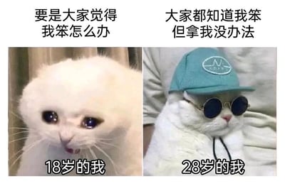 这张左右拼接的对比梗图，用两只状态截然不同的猫咪，展现了18岁到28岁的心态变化。左侧是泪眼汪汪、神情委屈的白色猫咪，标注为“18岁的我”，配文“要是大家觉得我笨怎么办”，精准还原了年轻时在意他人评价、容易因他人看法陷入焦虑的心境；右侧是戴着墨镜和帽子、姿态拽酷的白色猫咪，标注为“28岁的我”，配文“大家都知道我笨但拿我没办法”，表现出经历岁月沉淀后，接纳自己的不完美，不再在意他人眼光的松弛摆烂心态，生动贴合当代年轻人的成长轨迹，充满共鸣感。