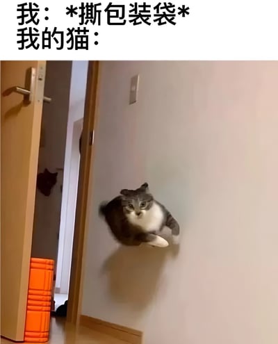 图片上方配有文字"我：*撕包装袋* 我的猫："，下方是一只灰白相间的猫正从走廊快速冲向镜头的抓拍画面。猫咪表情专注，身体呈现出奔跑跳跃的动态姿态，生动展现了宠物听到食物包装袋声音时的典型反应，充满生活趣味和幽默感。