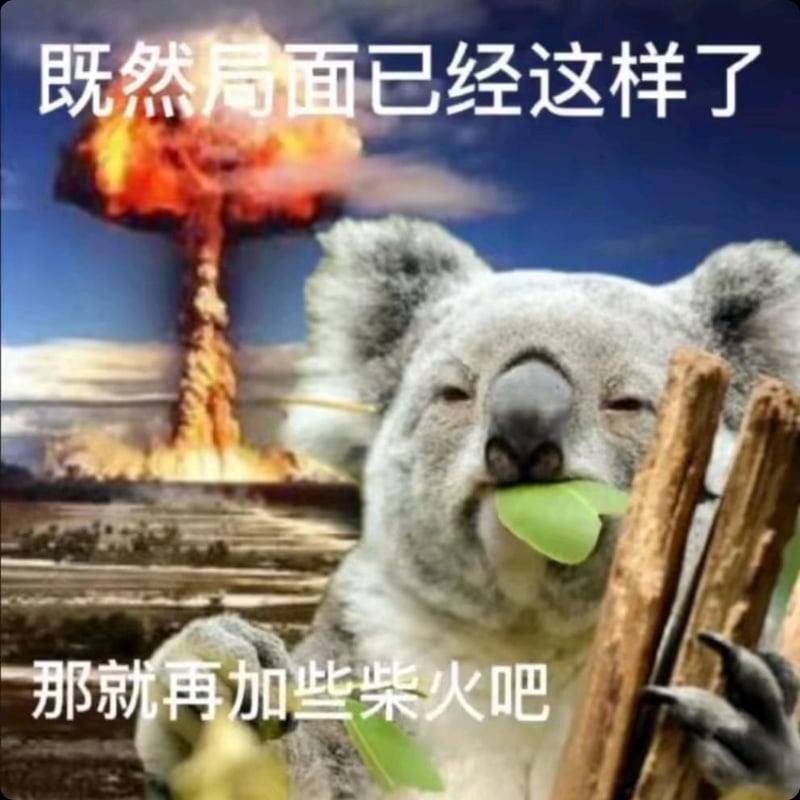 考拉