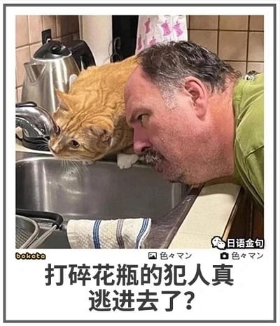 这是一张原始拍摄的静态单图，场景设定在家庭厨房的水槽区域。画面中，一位穿着绿色上衣的中年大叔侧着脸，将头严肃地凑近水槽边缘；一旁的橘色猫咪也趴在水槽边缘，同样将脸凑近水槽，二者的姿势和位置高度同步，仿佛正一起专注地查看水槽内部。图片底部配有中文文字“打碎花瓶的犯人真逃进去了？”，为画面赋予了趣味剧情，仿佛大叔怀疑猫咪是打碎花瓶的“犯人”，或是二者一同在寻找藏进水槽的犯人，利用人与宠物的同步互动制造出诙谐搞笑的氛围。图片左下角有“boke.e”水印，右下角有“日语金句”标识，配文上方还有日文“色々マン”的字样。