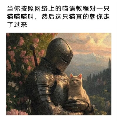 这是一张图文结合的趣味梗图，上方配文为“当你按照网络上的喵语教程对一只猫喵喵叫，然后这只猫真的朝你走了过来”，下方是AI生成的古典油画风格插画：一位身着全套精致金属盔甲的中世纪骑士，怀抱着一只神态淡定的浅橘色小猫，背景是开满粉色花卉的植被、远山与城堡，整体氛围兼具中世纪的庄重感与萌系反差感。图中用骑士获得小猫亲近的庄重画面，夸张地表现出当人成功用喵语和猫咪互动时，那种仿佛完成伟大使命、获得“至高认可”的满足与成就感，精准戳中养猫爱好者尝试和猫咪沟通的有趣经历。