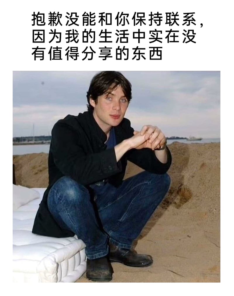 《浴血黑帮》《奥本海默》