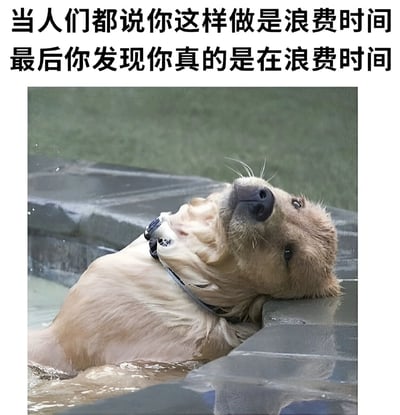 图片上方配有文字“当人们都说你这样做是浪费时间 最后你发现你真的是在浪费时间”，下方是一只金毛犬趴在水中的石阶上，浑身湿透，仰头向上看，眼神中透露出无奈和些许沮丧，整体通过动物表情与文字结合，营造出一种幽默的自我调侃效果，表达了意识到自己确实在浪费时间时的复杂心情。