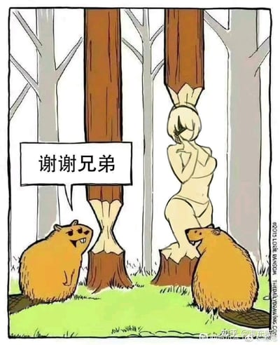 这是一张玩视觉错位与游戏梗的搞笑二次创作漫画：森林场景里两只海狸在啃树，左边的海狸对着右侧被啃的树桩开心地说“谢谢兄弟”，而右侧被啃的树桩部分被改画成了游戏《尼尔：机械纪元》里的2B角色形象，利用树被啃咬的形状和角色外形的巧合做了趣味结合，营造出“右边海狸砍出了2B”的搞笑效果，玩梗又充满趣味。