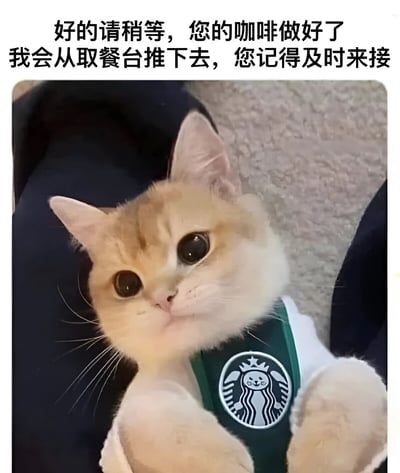 一张幽默的猫咪表情包，图中是一只穿着绿色星巴克制服的橘猫，制服上的星巴克标志被改成了猫咪头像的版本。猫咪有着大大的眼睛和呆萌的表情，似乎正以咖啡师的身份准备送餐。图片上方配有文字：'好的请稍等，您的咖啡做好了 我会从取餐台推下去，您记得及时来接'，通过拟人化的方式创造出有趣的场景，将猫咪与咖啡店服务结合，营造出轻松搞笑的氛围。
