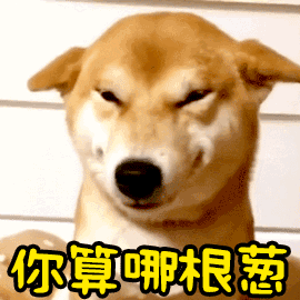 柴犬怼人表情包：你算哪根葱