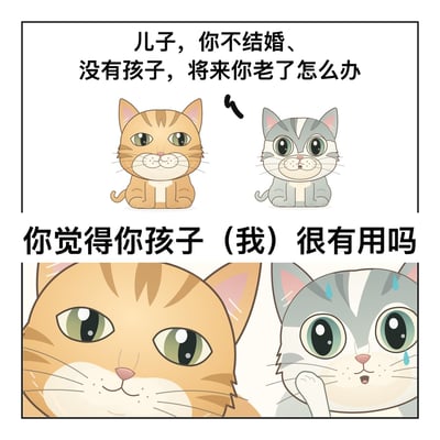 这是一张竖版两格卡通条漫。上格中，体型较大的橘猫家长和体型较小的灰猫儿子并排坐着，上方文字写着：“儿子，你不结婚、没有孩子，将来你老了怎么办”。两格之间的大号文字是儿子的回应：“你觉得你孩子（我）很有用吗”。下格切到两只猫的脸部特写，橘猫家长淡定微笑，灰猫儿子则满头冒汗、抬手擦汗，表情尴尬紧张。笑点在于儿子用“我就是你的孩子，但我并不见得能解决养老问题”的自嘲式反问，消解了家长“结婚生子才能老有所依”的催促逻辑。