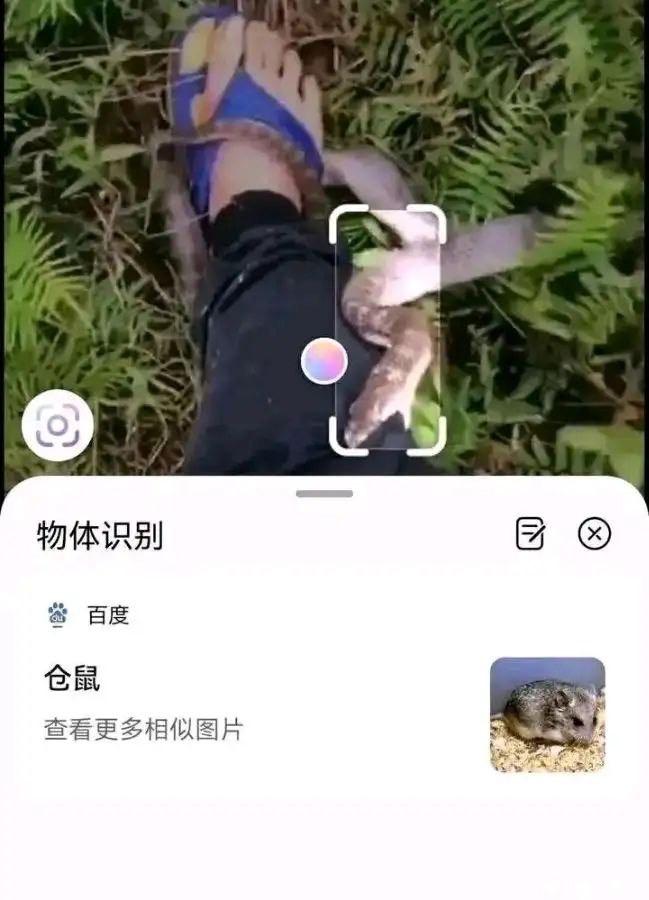 蛇