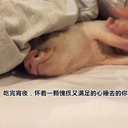 吃完宵夜后愧疚又满足的你（猪版）