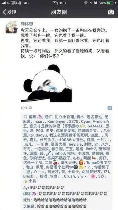 这是一张微信朋友圈的竖屏截图，内容是用户刘休想分享的一段生活趣事：他在公交车上与旁边女士怀中的狗长时间对视，女士见状疑惑地问出“你们认识？”，这段对话充满了无厘头的搞笑感，搭配的流泪熊猫头表情包则传递出尴尬又好笑的情绪。评论区里，好友“绵绵”留下了一长串包含众多昵称的评论，其他好友则纷纷回复“哈哈哈哈哈哈哈哈”，表达对这件趣事的好笑之感，整体氛围轻松诙谐，是典型的社交媒体上的日常搞笑分享。