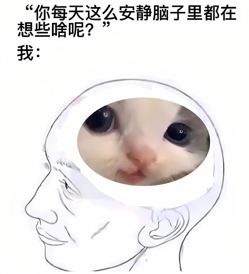小奶猫