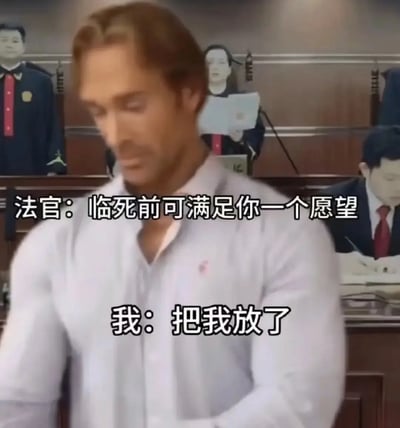 这张梗图采用了法庭场景，配上搞笑对白。画面是一名健硕男子站在法庭，字幕为“法官：临死前可满足你一个愿望”“我：把我放了”。核心笑点在于‘最后的愿望’本身带有荒诞和自嘲，呈现典型的一句话沙雕梗图。表意风格轻松无厘头，著有讽刺和幽默色彩。涉及双关或黑色幽默：以“愿望”名义表达无理取闹的诉求，突出戏谑和自信。