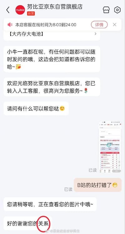 这是努比亚京东自营旗舰店的人工客服与用户的聊天记录截图：用户向客服反馈宣传图里“B站”的“站”字打错了，并附上相关截图；客服查看后回复时，出现了打字错误，将原本应该是“提醒”的内容打成了“关系”，留下“好的谢谢您的关系”的乌龙表述，形成了搞笑的场面。
没有双关、谐音梗或暗示内容，笑点来自客服的打字失误。