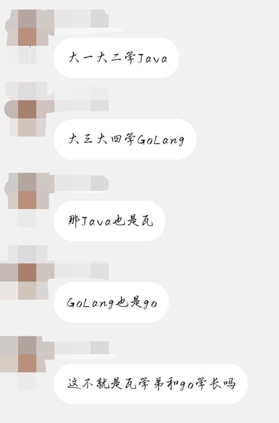 这张图是一组搞笑聊天截图，内容是一群学生讨论在大学各年级分别学习Java和Go语言，结果通过谐音和双关，把『Java』谐音成了『瓦』、『Go』就直接叫『go』，从而脑洞大开地把『Java的学生叫瓦学弟，GoLang的学生叫go学长』，调侃了编程语言名称的发音。整体风格沙雕幽默，其中有明显的谐音梗和双关。