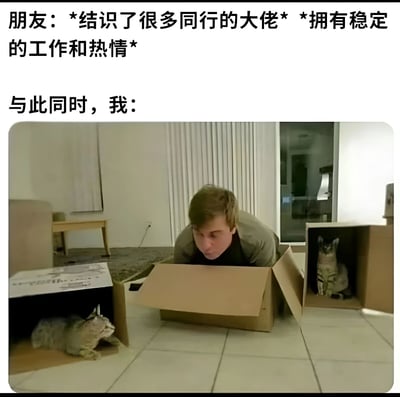 这张梗图通过对比手法幽默展现了朋友的成功与自己的平凡生活。上方文字描述朋友"结识了很多同行的大佬"且"拥有稳定的工作和热情"，下方图片则是一名男子从纸箱中爬出，旁边还有两只猫分别待在各自的纸箱里，形成有趣的视觉对比，暗示自己目前的生活状态较为简单甚至有些落魄。