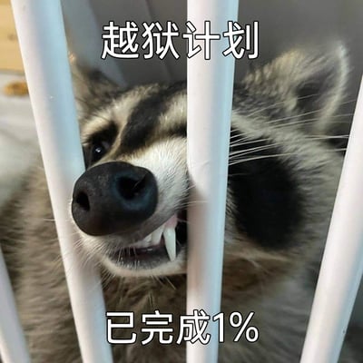 这是一张搞笑动物表情包，画面中一只小浣熊被关在带有白色栏杆的笼子里，它将鼻子和嘴部卡在栏杆之间，露出牙齿，看起来像是在试图啃咬栏杆来“越狱”。图片上方配有文字“越狱计划”，下方配有文字“已完成1%”，通过小浣熊徒劳的动作和极低的计划完成度形成反差，制造出幽默效果，常用于调侃做事进度缓慢、计划推进艰难的场景，表达无奈又好笑的情绪。