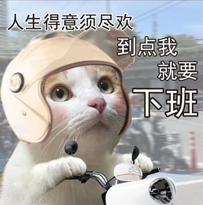 图片中是一只戴着米色头盔的白猫，它正双手握着白色 scooter 的车把，眼神期待地望向前方，背景是模糊的街道景象，营造出快速行驶的动感。图片上方配有文字“人生得意须尽欢”，右侧则是“到点我就要下班”，将经典诗句与现代打工人期待下班的心情结合，形成幽默反差。