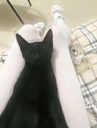一张第一视角拍摄的温馨生活照，画面里一只纯黑色的小猫闭着眼睛，惬意地趴在穿着白色竖纹长裤、白色带蝴蝶结小皮鞋的主人双腿之间，看起来正享受着陪伴，模样黏人又可爱。画面右侧是带有小熊抱足球图案的格子布料，整体氛围治愈又温暖。