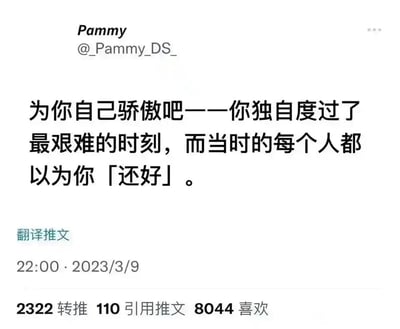 这是一张X平台（原Twitter）的推文截图，发布者为账号Pammy（@_Pammy_DS_），发布时间是2023年3月9日22:00。推文内容是一段翻译后的中文暖心鼓励话语：「为你自己骄傲吧——你独自度过了最艰难的时刻，而当时的每个人都以为你「还好」。」，这段文字精准描述了很多人独自扛过困境却未被他人察觉的经历，引发了大量用户共鸣，该推文获得了2322次转推、110次引用推文以及8044次喜欢，是一则在社交平台受到广泛认可的治愈系内容。