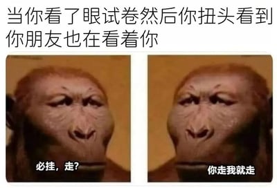 图片上方配有文字'当你看了眼试卷然后你扭头看到你朋友也在看着你'，下方是两张左右排列的猴子脸表情包。左侧猴子脸配文'必挂，走？'，右侧配文'你走我就走'，生动展现了考试时觉得题目太难，想和朋友一起放弃的默契又搞笑的场景。