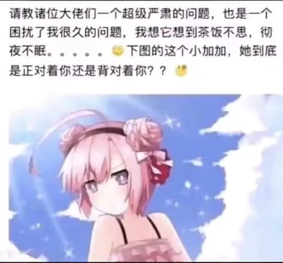 图片上方是一段幽默提问文字，称困扰已久、茶饭不思，询问图中“小加加”是正对着还是背对着观察者。下方是《碧蓝航线》角色小加加的动漫形象，粉色短发扎有花朵发饰，侧身站立于蓝天白云背景前，因视角问题形成视觉歧义，让人难以判断朝向。这是一个利用角色姿态制造的经典视觉错觉梗图，引发网友互动讨论。