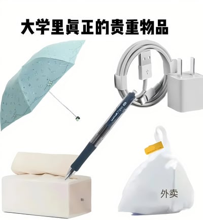 这张图片通过幽默的方式展示了大学里被学生视为真正贵重的物品，包括一把浅蓝色带花纹的雨伞、一个白色充电线和充电器、一支黑色的笔、一盒纸巾以及一个标有'外卖'字样的白色外卖袋。图片以简洁的白色为背景，将这些日常用品整齐排列，上方配有'大学里真正的贵重物品'的标题，形成一种反差幽默，暗示在大学生活中，这些看似普通的日常用品往往比贵重物品更实用和不可或缺。