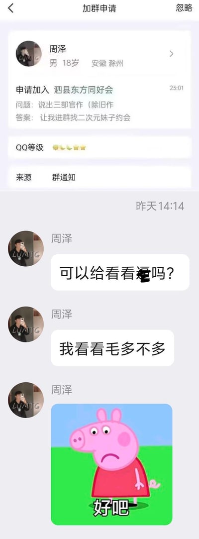 这是QQ平台的群聊加群申请与后续私聊记录截图：18岁安徽滁州网友周泽申请加入“泗县东方同好会”，面对群验证问题“说出三部官作（除旧作）”，他给出“让我进群找二次元妹子约会”的答案；之后他还发送了低俗骚扰话语，最后补发了一张配文“好吧”的小猪佩奇无奈表情包，整体展现了该网友的低俗奇葩行为，让人反感。
