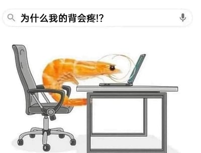 这是一张卡通风格的职场吐槽梗图，画面中一只拟人化的熟大虾坐在带滚轮的办公椅上，身体保持着虾类天生的弓背形态，趴在办公桌前使用笔记本电脑，画面上方的搜索栏里写着它的疑惑：“为什么我的背会疼!?”。这张图运用双关梗制造趣味，虾的生理形态本身就是弯曲的，和长期久坐办公、保持不良坐姿的上班族体态高度相似，大虾疑惑自己背痛的提问，实则是在调侃当代职场人因久坐、坐姿问题引发背痛的普遍健康困扰，用拟人的方式将职场人的身体痛点具象化，既贴切又充满讽刺感，容易引发职场群体的共鸣。
