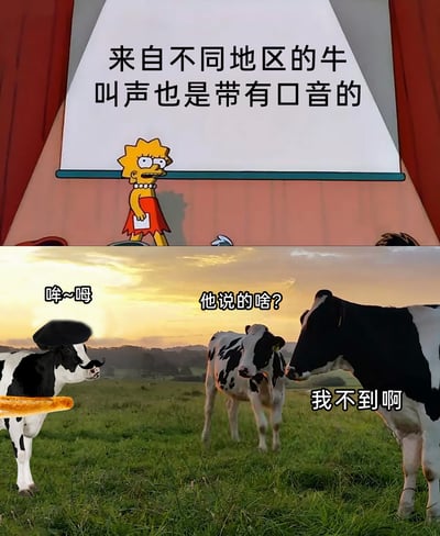 这是一张上下拼接的搞笑原创梗图，上半部分截取自动画《辛普森一家》的画面，角色丽莎·辛普森站在讲台前，上方配文“来自不同地区的牛叫声也是带有口音的”，为整个梗图的脑洞设定做铺垫；下半部分是经过P图改编的现实奶牛照片，左边的奶牛被添加了贝雷帽、小胡子和法棍，模仿法国人的经典形象，发出“哞~呣”的类似法语腔调的叫声，中间的奶牛一脸疑惑地询问“他说的啥？”，右边的奶牛则用天津方言谐音“我不到啊”（即“我不知道”）回应，将人类不同地区有口音的设定拟人化套用在牛身上，结合地域文化符号和方言梗，制造出荒诞又搞笑的效果，调侃了地域口音差异带来的沟通趣味。