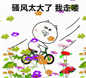 骚风太大了我走喽 骑车小猫表情包