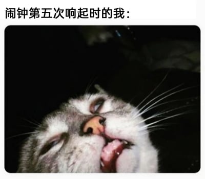 这是一张贴合日常起床场景的表情包，图片上方配有文字“闹钟第五次响起时的我：”，下方是一张真实猫咪的特写照片。猫咪仰头躺着，半睁着涣散的眼睛，眼神疲惫，嘴巴微张，胡须凌乱，完美还原了被闹钟反复吵醒后，极度困乏、不想起床，身心都抗拒清醒的状态，精准戳中了很多起床困难户的日常痛点。用动物的真实表情来拟人化表达人类的情绪，十分生动有趣，适合在社交平台用来调侃自己的起床困难日常。