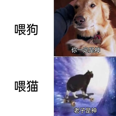 这是一张上下分栏的对比类梗图，上半部分为「喂狗」场景：一只金毛犬被人抚摸头部，表情温顺感激，配文「你一定是神」，体现出狗狗对喂食者的依赖与感恩心态；下半部分为「喂猫」场景：一只黑白猫踩着滑板，背景是宇宙星空，配文「老子是神」，用夸张的画面和文案表现出猫咪高傲、以自我为中心的傲娇性格。整张图通过猫狗面对喂食时的截然不同的反应，放大了大众对猫狗性格的普遍刻板印象，制造出强烈的搞笑反差，调侃养宠过程中的不同体验。