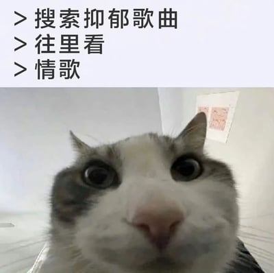图片上方有三行文字："搜索抑郁歌曲"、"往里看"、"情歌"，下方是一只表情惊讶的猫直视镜头。图片通过猫的夸张表情幽默地表现了本想搜索抑郁歌曲却看到情歌时的意外感受，形成一种情绪反差的喜剧效果。