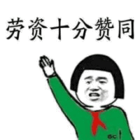 劳资十分赞同表情包