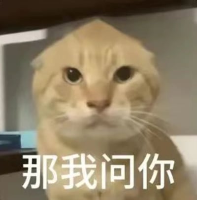 图片中是一只浅色橘猫的特写镜头，猫咪眼神直视前方，瞳孔圆睁，表情略带疑惑与专注。画面下方叠加了白色粗体文字“那我问你”，整体构图简洁，背景为室内模糊环境，突出猫咪的面部表情与文字内容，常用于表达好奇或反问的情绪。