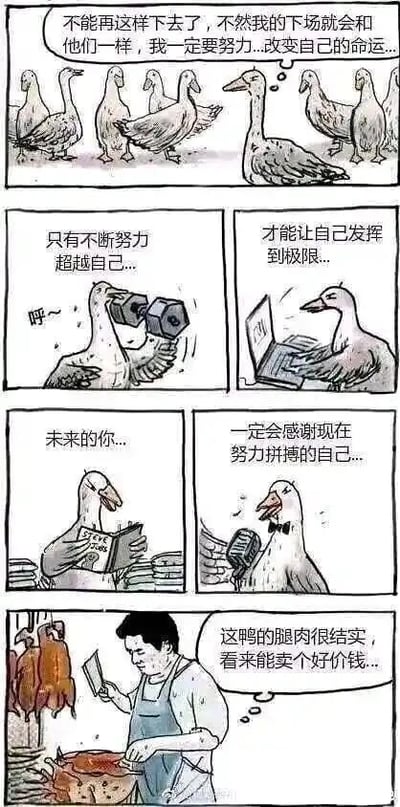 这是一组共6格的连环漫画，用荒诞反讽的手法讲述故事：第一格中，一只鸭子看着周围被悬挂起来的同类，满脸担忧，内心暗自下定决心“不能再这样下去了，不然我的下场就会和他们一样，我一定要努力...改变自己的命运...”；第二格，鸭子举着哑铃奋力锻炼，配文“只有不断努力超越自己...”；第三格，鸭子坐在笔记本电脑前忙碌，配文“才能让自己发挥到极限...”；第四格，鸭子捧着书本认真阅读，配文“未来的你...”；第五格，鸭子穿着正装、拿着话筒，一副成功的模样，配文“一定会感谢现在努力拼搏的自己...”；第六格，画面一转，一个穿着围裙的屠夫正在处理这只鸭子，他捏着鸭子结实的腿肉，满意地说“这鸭的腿肉很结实，看来能卖个好价钱...”。漫画通过鸭子的努力与最终结局的强烈反差，讽刺了那些没有找对努力方向，最终事与愿违，努力的结果反而让自己更接近原本想要逃避的命运的处境，充满黑色幽默。