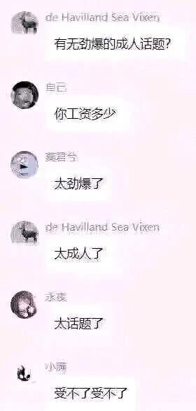 这是一段竖屏格式的社交平台群聊记录截图，内容为群内成员的趣味互动：用户“de Havilland Sea Vixen”发起提问“有无劲爆的成人话题？”，用户“自己”以“你工资多少”回应，随后其他成员“莫君兮”“de Havilland Sea Vixen”“永夜”“小满”依次用“太劲爆了”“太成人了”“太话题了”“受不了受不了”附和，用幽默的方式调侃工资问题是当代成年人生活中最敏感、最具“劲爆”属性的话题，精准戳中了职场人面对薪资问题的压力与尴尬，是网友们用来消解生活压力的趣味内容。