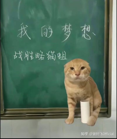 这是一张网友自制的合成梗图，将一只表情严肃的折耳橘猫P在写有粉笔字的黑板前，黑板上用白色粉笔写着“我的梦想”以及“战胜略猫蛆”。图中运用了谐音梗，“略猫蛆”是“模糊”的谐音，改编自“战略模糊”这个词，将严肃的概念替换成和猫相关的谐音内容，搭配一本正经、表情严肃的橘猫，制造出强烈的搞笑反差感，仿佛这只橘猫正在郑重宣告自己的“伟大梦想”，充满趣味。
