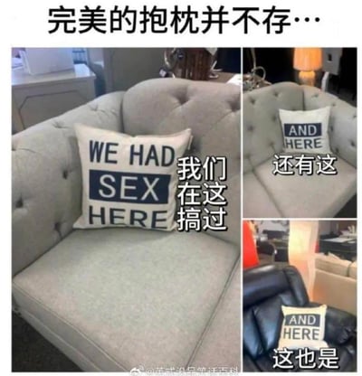 这是一张由三张实拍图拼接而成的搞笑梗图，顶部配文“完美的抱枕并不存…”。第一张图中，浅灰色沙发上的抱枕印着英文“WE HAD SEX HERE”，旁边配有中文注释“我们在这搞过”；第二张图的浅灰色沙发抱枕印着“AND HERE”，配文“还有这”；第三张图黑色皮沙发上的抱枕同样印着“AND HERE”，配文“这也是”。<br>通过将完整的英文句子拆分成不同抱枕上的文字，制造出一种“每个沙发都对应相关描述”的搞笑反差效果，利用文字的拆分组合来制造荒诞的笑点。