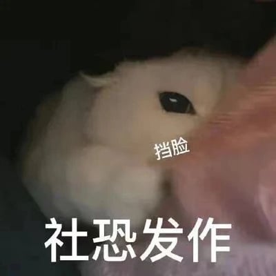 这是一张经过P图改编的静态表情包，主体是一只白色仓鼠，它用爪子挡住自己的脸部，只露出一只眼睛，神态胆小闪躲，完美契合社恐人群面对社交场景时的躲避心态。图中添加了两处文字，一处在仓鼠爪子旁标注‘挡脸’，点明动作；另一处在图片底部标注‘社恐发作’，直接点出表情包想要表达的情绪，生动形象地展现出社交恐惧症患者在社交场合中想要逃避、不愿与人接触的状态，容易引发有类似情绪人群的共鸣，常被用于社交平台聊天中表达自己的社恐情绪。