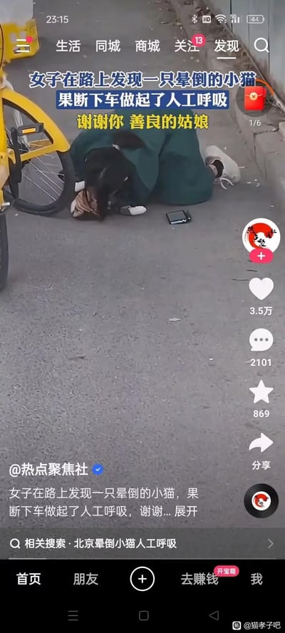 这是一张抖音平台的短视频截图，画面中一位身着深色长裙的女子跪在马路边，头贴近地面，配文显示她正在为一只晕倒的小猫做人工呼吸，女子身旁放着一部手机和一辆黄色共享单车。视频上方配文夸赞女子的善良，该视频获得了3.5万点赞、2101条评论，相关搜索指向“北京晕倒小猫人工呼吸”，是一则传递暖心善意的生活类短视频内容，无特殊双关、谐音梗或暗示表意。