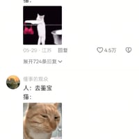 搞怪猫咪