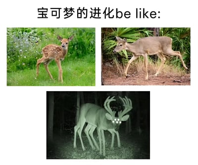图片上方配有文字“宝可梦的进化be like:”，下方由三张鹿的照片组成递进式对比。第一张是绿色草地上的可爱幼鹿，身上有白色斑点，眼神呆萌；第二张是棕色土地上的成年鹿，体型修长，神态自然；第三张是深色森林中的发光鹿，身体呈现半透明绿色，头部有白色光点，腿部数量异常增多，整体充满神秘奇幻感。通过鹿从幼崽到成年再到“异化”的变化，幽默调侃宝可梦进化中常见的“从可爱到普通再到魔幻”的夸张升级套路。