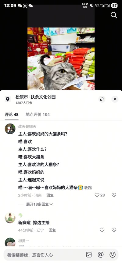 图片为社交媒体平台(推测为抖音或小红书)的地点评论区截图，地点显示为“松原市 扶余文化公园”，该地点有1387人打卡，48条评论和104条地点评价。截图上方是一张猫咪照片，猫咪坐在堆满各类商品(如红色包装物品、绿色包装食品等)的货架前，表情专注好奇。下方是用户“改天是哪天”发布的热门评论，内容为一段主人与猫咪的趣味对话：主人引导猫咪说出“喜欢妈妈的大猫条”，猫咪以“喵”声回应，最终“连起来说”时用“~喵~嗷~喜欢妈妈的大猫条 😂”收尾，幽默可爱。该评论发布于2小时前，来自河南，获得28个点赞，并展开了18条回复。