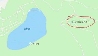 这是一张公园导览地图截图，浅绿色背景代表陆地，左侧蓝色不规则区域标注为桃花湖水域，湖内标注了文字“桃花湖”，湖南侧岸边还有带图标的“桃花湖”地标；地图右侧的景点“可以看湖的亭子”被红色手绘圆圈圈出，该亭子位于桃花湖东岸对岸，位置确实可以眺望桃花湖，它直白写实接地气的命名十分有趣，成为被网友传播的趣味内容。