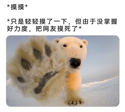 这是一张经过二次创作的搞笑梗图，图片上方配有两段旁白文字：“*摸摸*”和“*只是轻轻摸了一下，但由于没掌握好力度，把网友摸死了*”，下方是一张真实的北极熊摄影照片，照片里的北极熊站在雪地环境中，一只带有积雪的大爪子伸向镜头，由于爪子在近景显得尺寸很大，和文字内容结合，形成了一种反差搞笑的效果，用夸张的方式调侃看似亲昵的动作却有着“巨大破坏力”，适合在社交平台用来和网友玩梗互动。