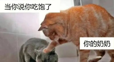 图片中一只橘猫正用爪子轻拍灰猫的头部，配合上方文字“当你说你吃饱了”和右侧文字“你的奶奶”，幽默还原了生活中奶奶在晚辈表示吃饱后仍热情“投喂”的温馨场景，通过猫咪互动生动展现隔代亲情中的有趣瞬间。
